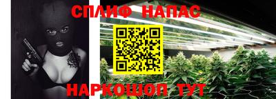 mdpv Коммунар