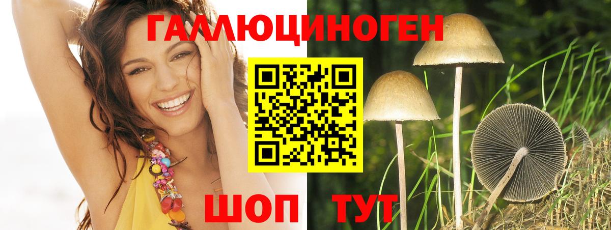 Галлюциногенные грибы MAGIC MUSHROOMS  Вход с VPN  Галлюциногенные грибы GOLDEN TEACHER  Когалым 